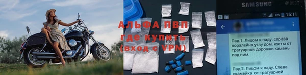 прущий лед Богданович