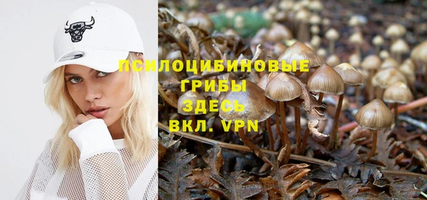 не бодяженный Белокуриха