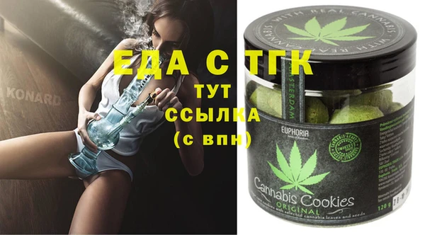 прущий лед Богданович
